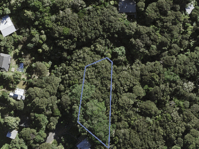 Hauraki Gulf Islands