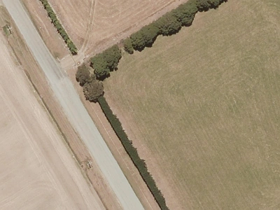 Inner Plains