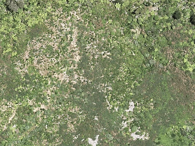 Rural  Rural Production Zone