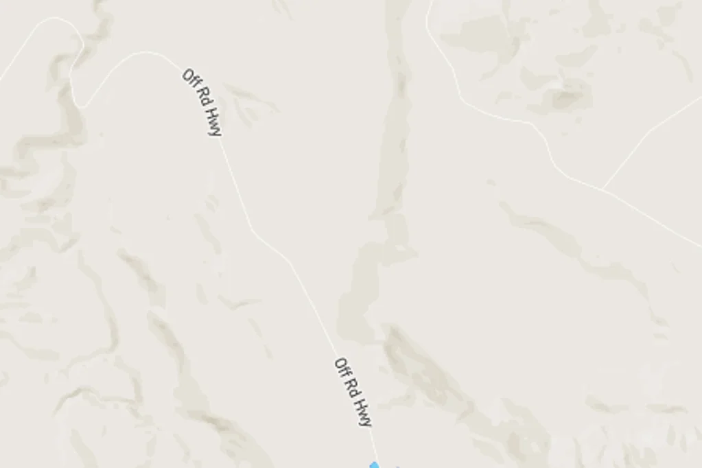 Tauhara Forest