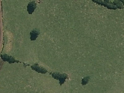 Rural  Rural Production Zone
