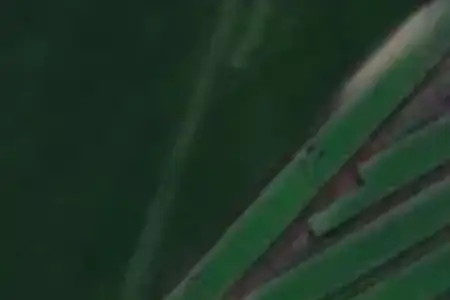 Rural B
