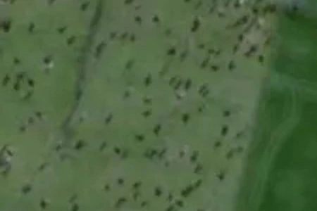 Zoned Rural