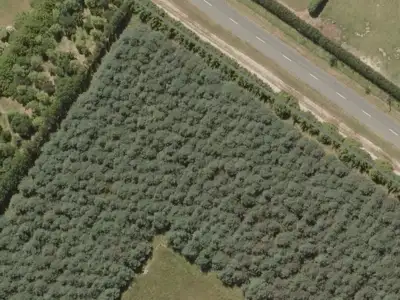 Inner Plains