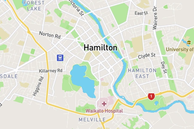 Hamilton Central