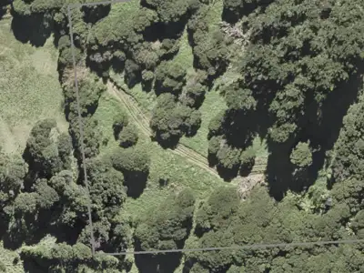Hauraki Gulf Islands