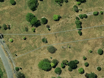 Specific Purpose (Otakaro Avon River Corridor)