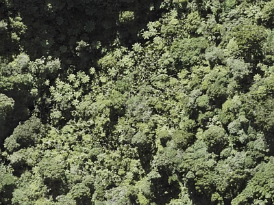 Rural  Waitakere Ranges Zone