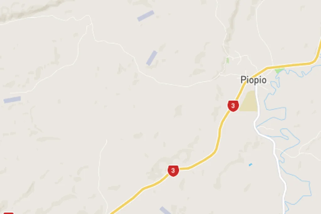 Piopio