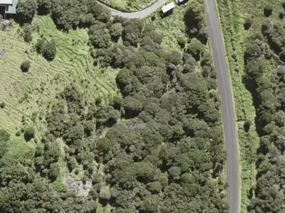 Hauraki Gulf Islands
