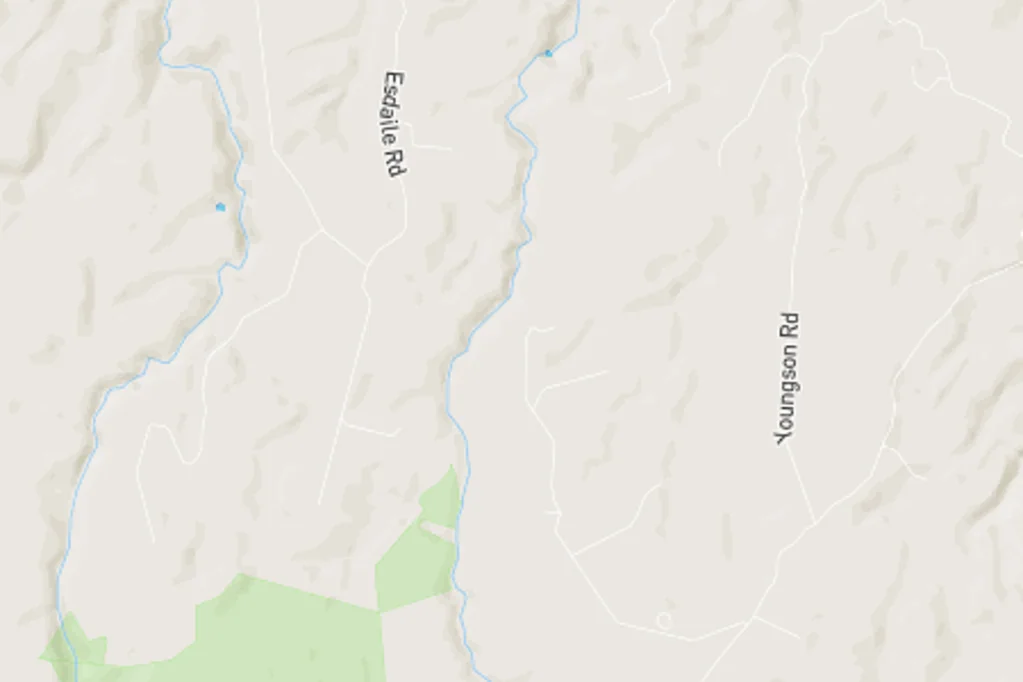 Whakamarama