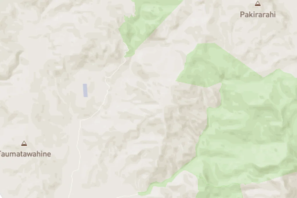 Puriri