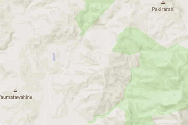 Puriri