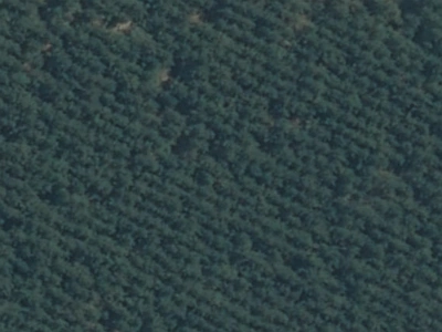 Outer Plains