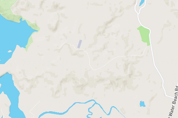 Purangi