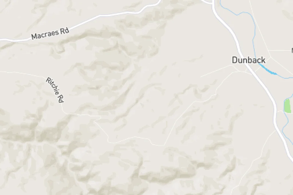 Dunback