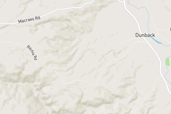 Dunback