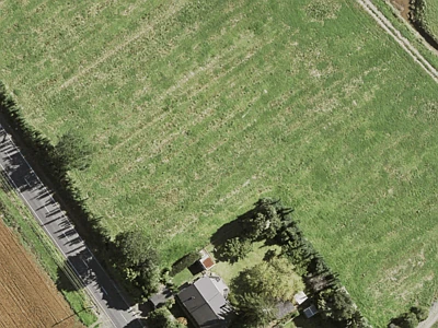 Residential  Mixed Housing Suburban Zone