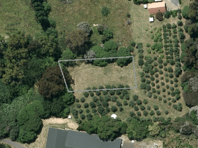 Open Space Community Parks