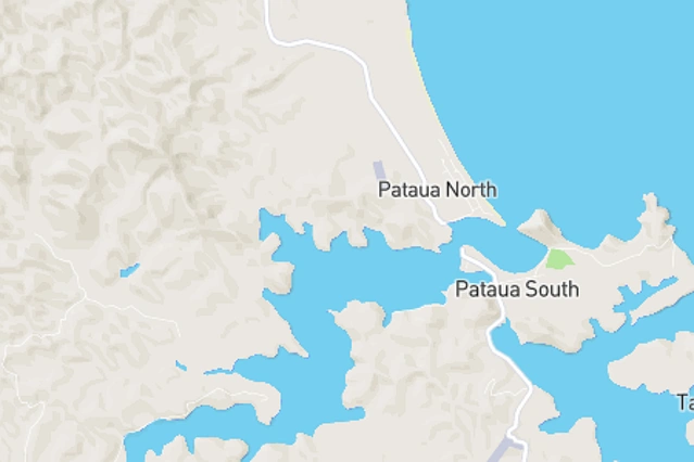 Pataua