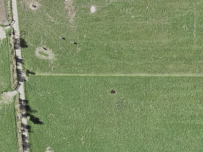 Rural  Rural Coastal Zone