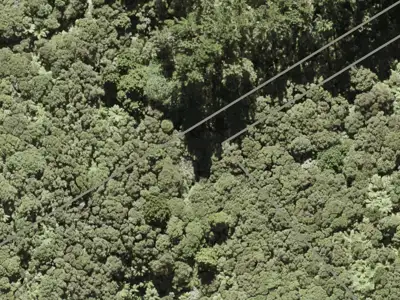 Rural  Waitakere Ranges Zone