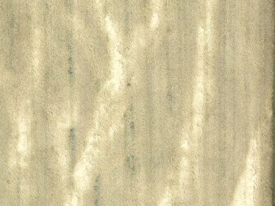 Rural Zone