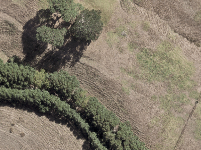 Rural  Rural Production Zone