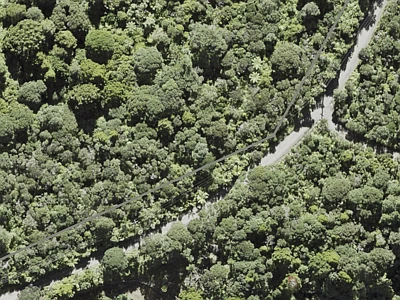 Rural  Waitakere Ranges Zone