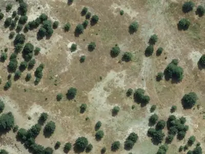 Residential Zone