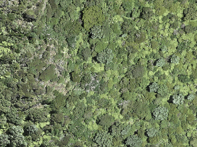 Open Space  Conservation Zone
