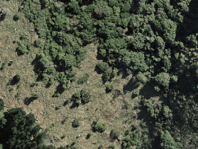 Open Space Natural