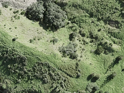 Hauraki Gulf Islands