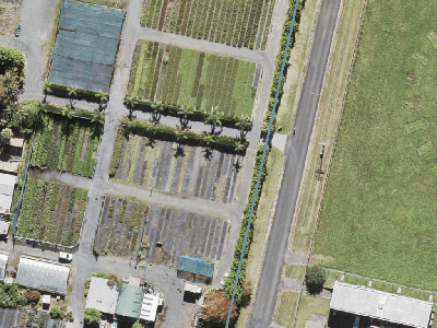 Future Urban Zone