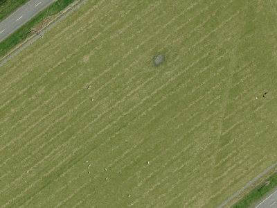 Rural B