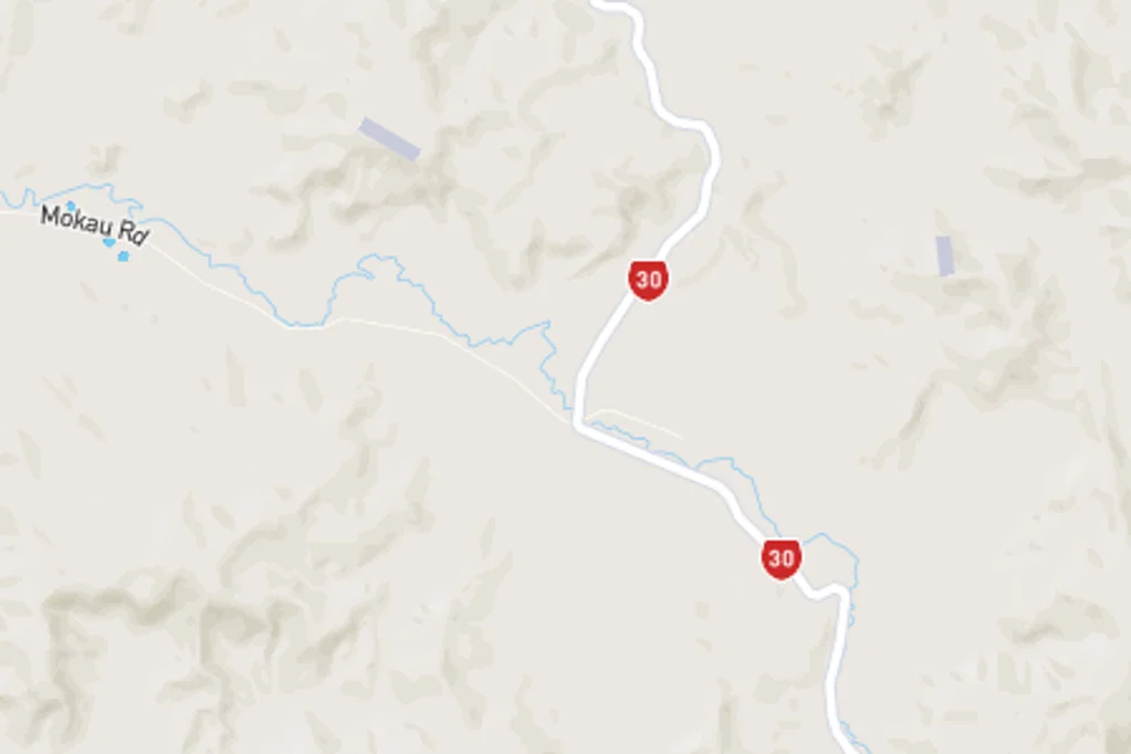 Puketutu