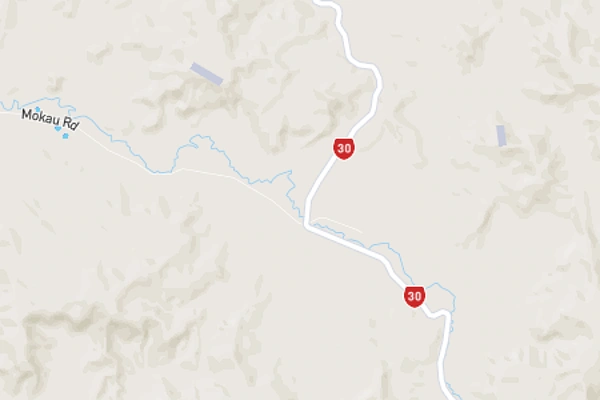 Puketutu