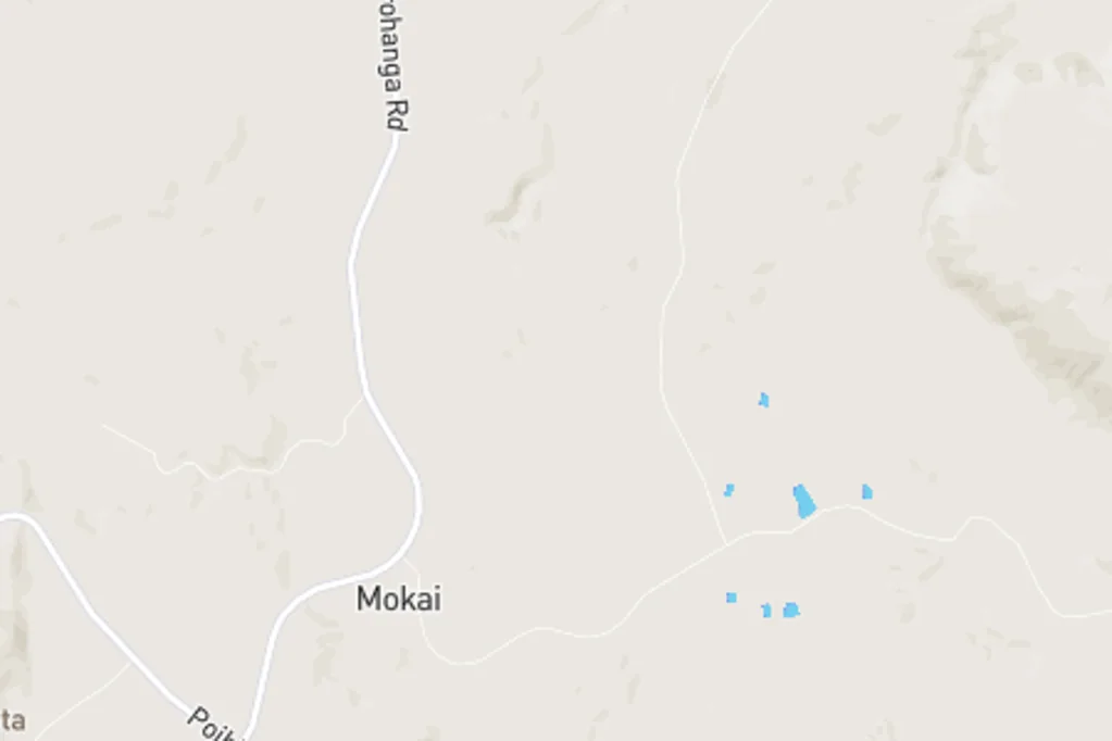 Mokai