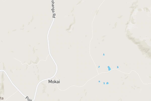 Mokai