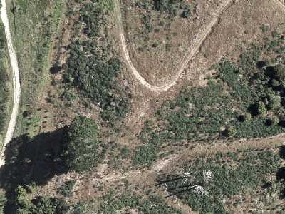 Rural  Rural Production Zone