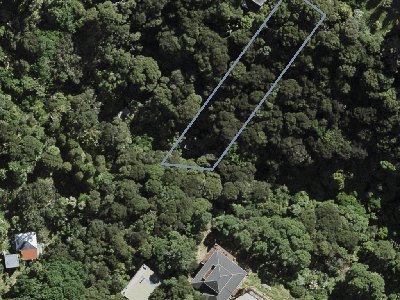 Hauraki Gulf Islands