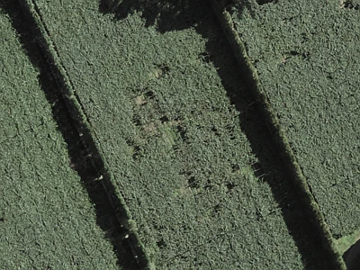 Rural  Rural Production Zone