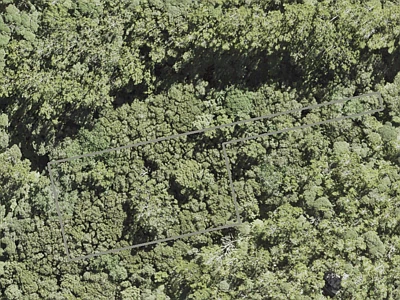 Rural  Waitakere Ranges Zone