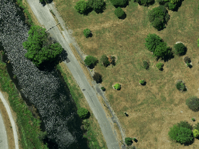 Specific Purpose (Otakaro Avon River Corridor)