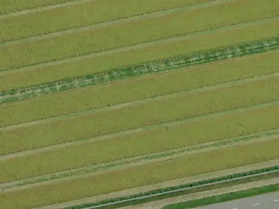 Rural A