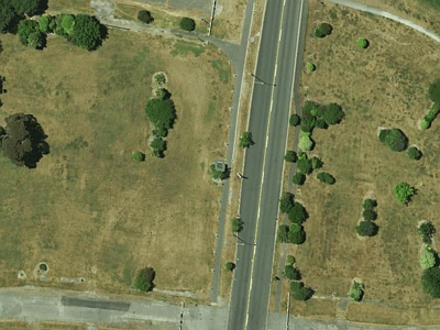 Specific Purpose (Otakaro Avon River Corridor)