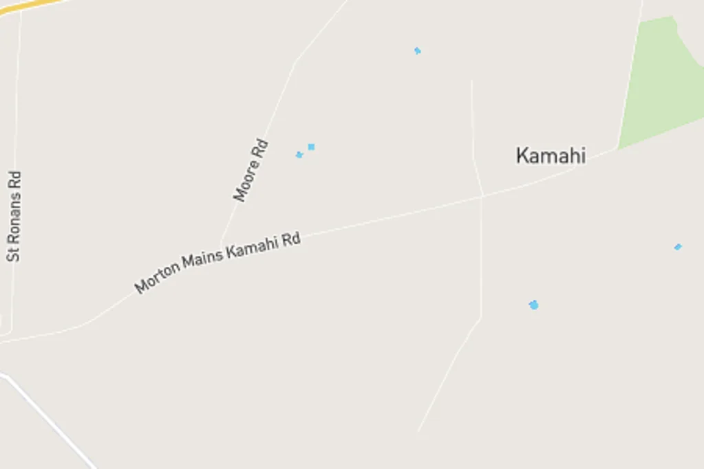 Kamahi