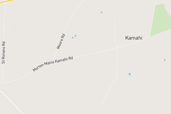 Kamahi