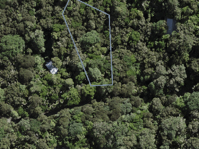 Hauraki Gulf Islands