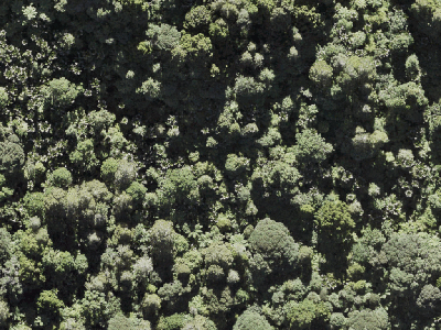 Open Space  Conservation Zone